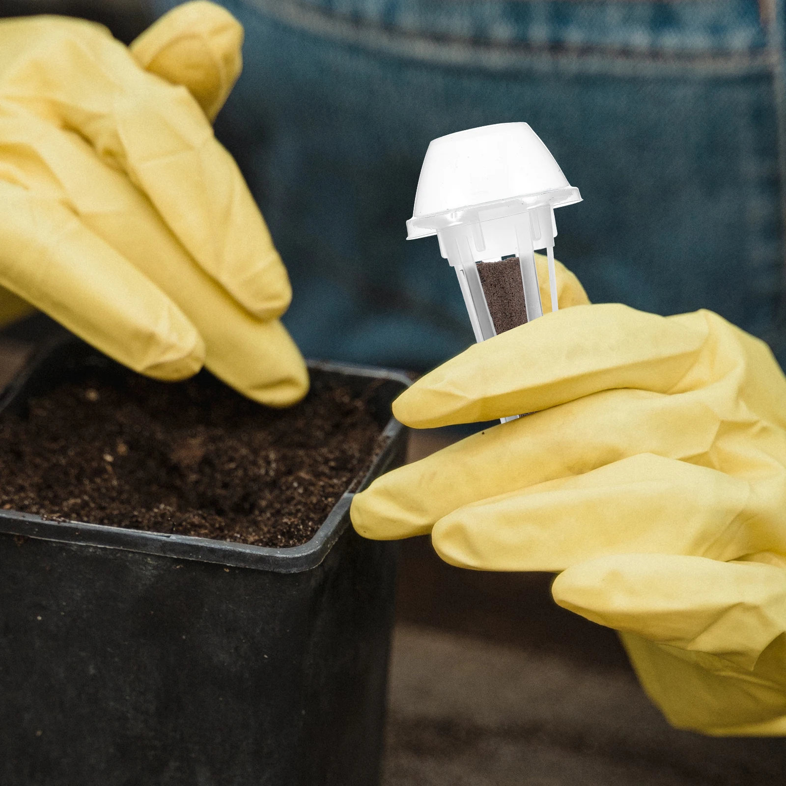 

1 set Hydroponic Grow Baskets With Domes Micro Container Net Pots For Indoor Hydroponic System Starter Growing Kit Plant