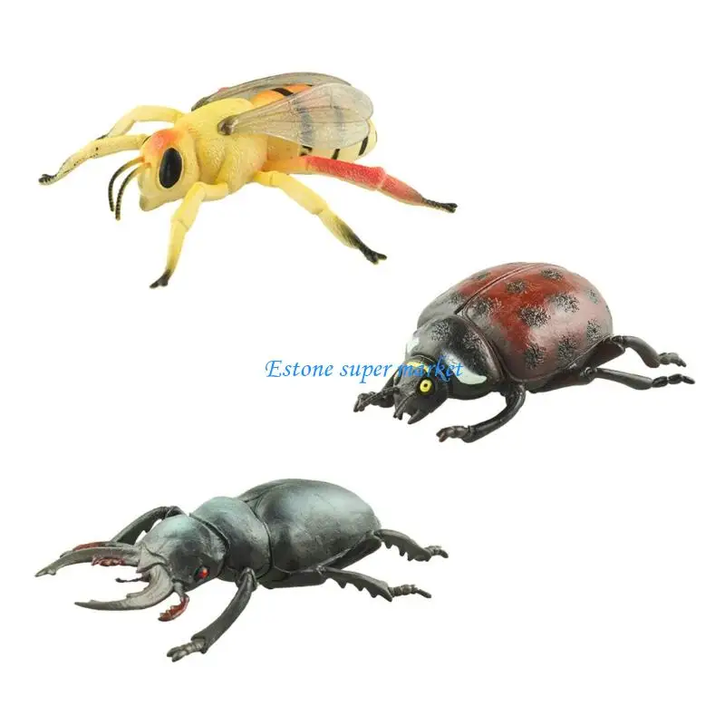 090B 3x Realistic Insect Model Figurine For Kids Science Learning Educational Figure