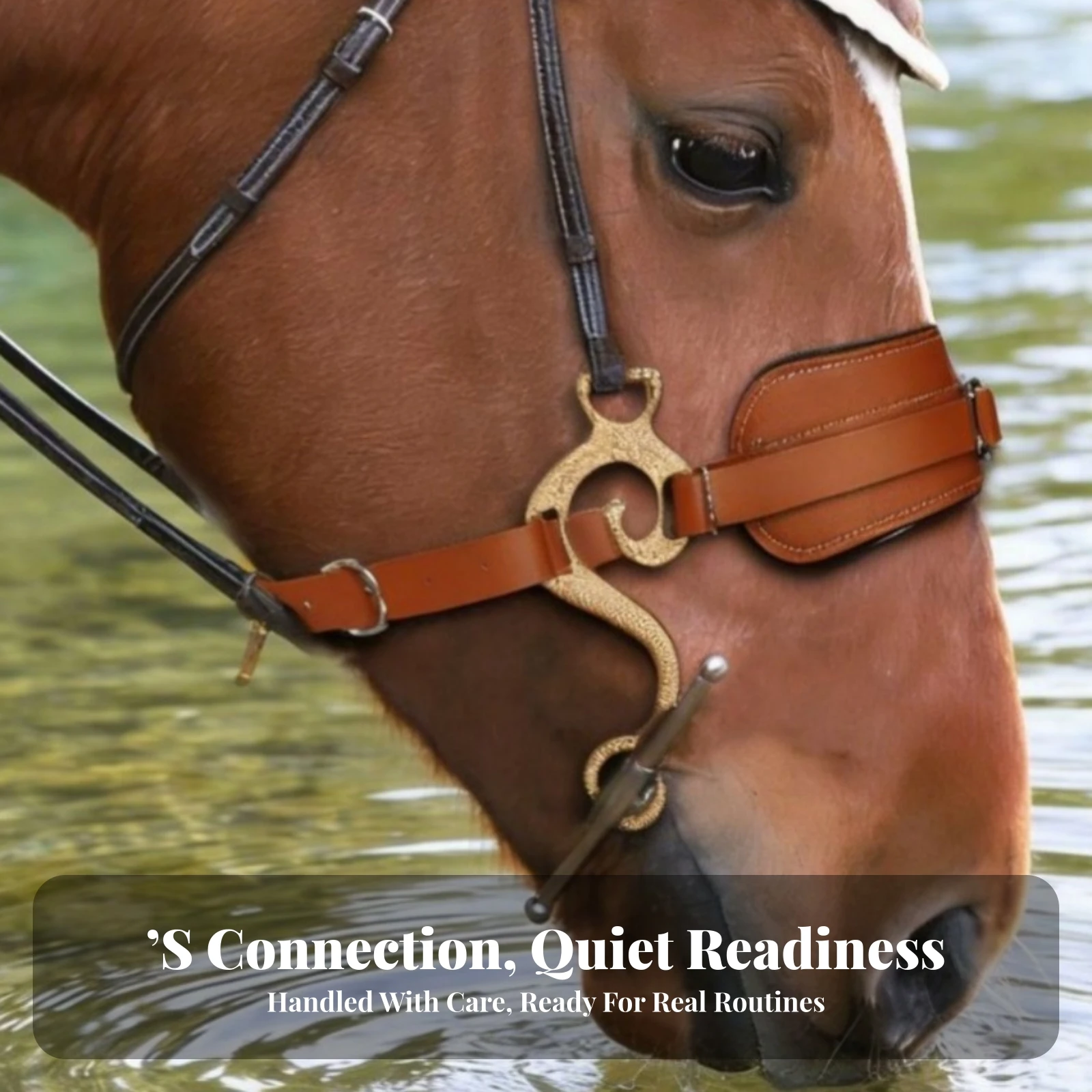 Leather Horse Halter with Padded Crown Sleek Tack for Equestrians, Stable