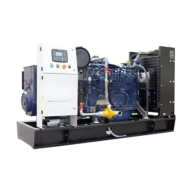 1 Megawatt 20kw 220v Micro Turbine Generator 100 kw 180kw 500kva 1000kw CHP Natural  Biogas Syngas Generator IP55 Air/Water