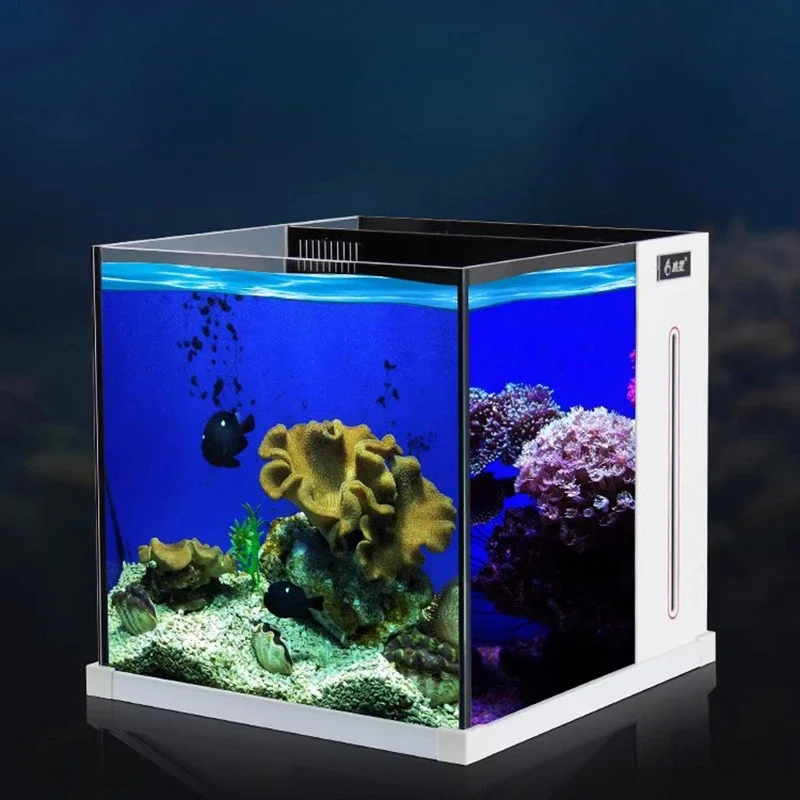 

Decoration Glass Fish Tank Desktop Cobble Aquatic Pet Supplies Loop Filtration Fish Tank Landscaping Home Aquarium Pour Aquarium