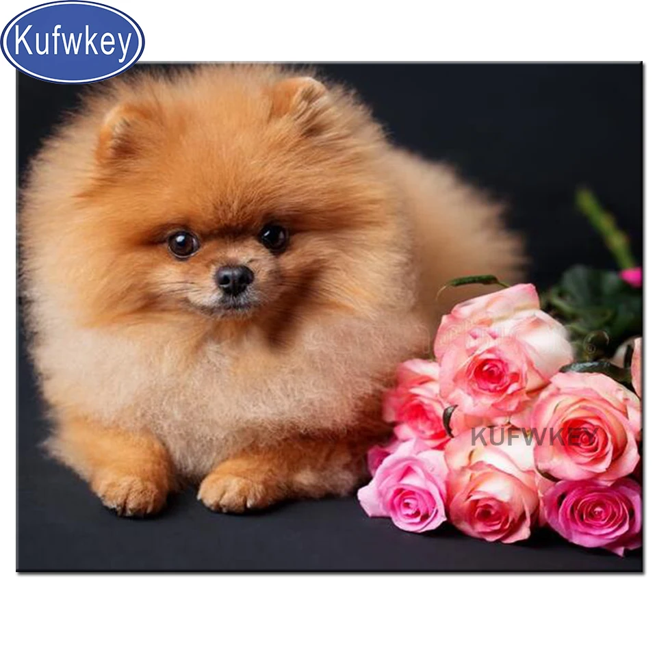 5D DIY Diamond embroidery Pomeranian,3d,diamond painting Cross Stitch full drill Rhinestone mosaic pet dog,wall decor Christmas