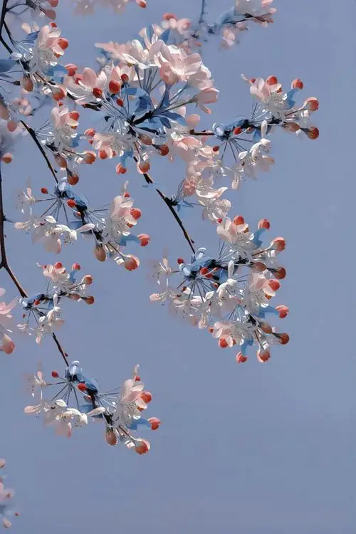 Metall Upgrade Ersatz Hinten Tasse RC Auto Teile Fit Für UD 1/16 GR M16 Fernbedienung Auto