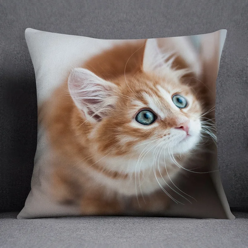 Cat series pattern decorative pillowcase, square  home office decoration (45cm * 45cm)