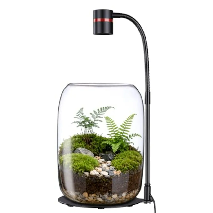 

Glass Plant Terrarium with 5W LED Grow Light, Desktop Terrarium Jar for Moss, Succulents and Mini Plants, 8.7" Tall Glass Terra