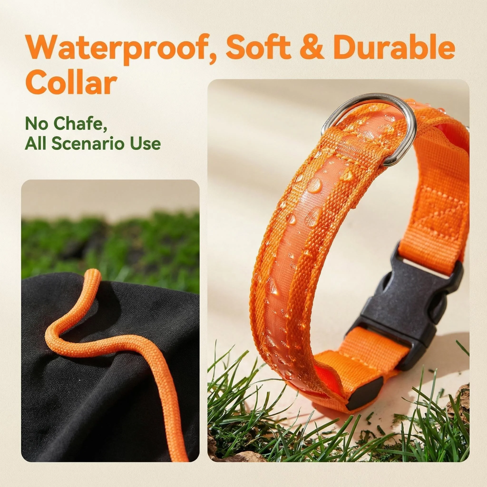 Thumbnail 3 - #75 Best Dog Collars to Buy In 2026