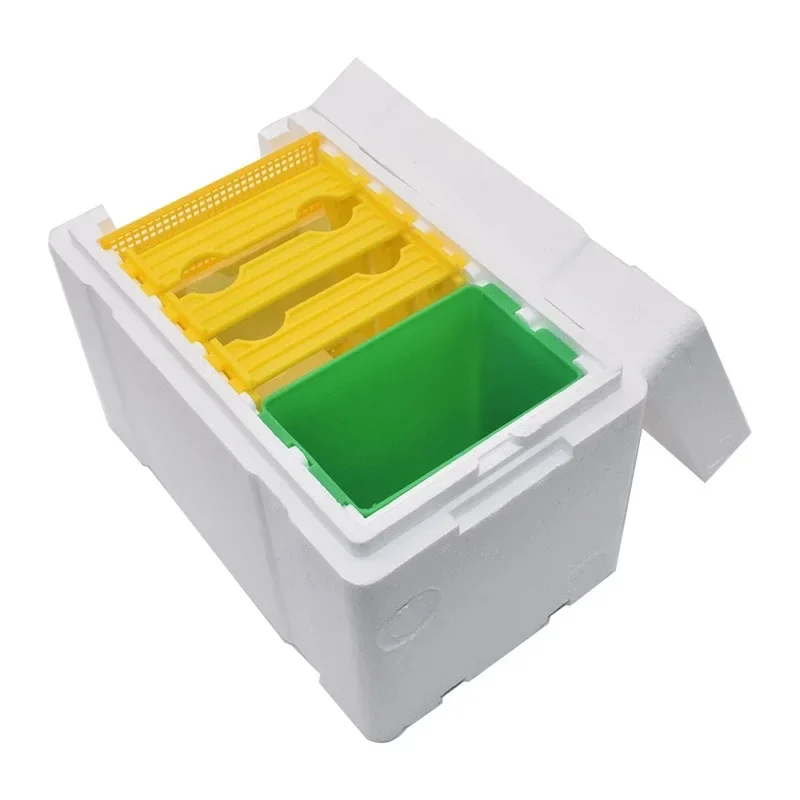 High Density Foam Queen Delivery Box Honeycomb Case Chinese Bee Wasp Breeding King Bubble Mating Nest Beekeeping Tool Beekeeper