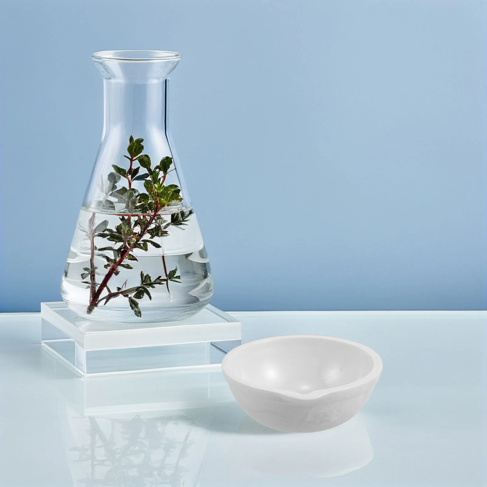 

2Pcs Laboratory Ceramic Evaporating Dish Durable Round Plates for Chemistry Heating Experiments School Science Projects