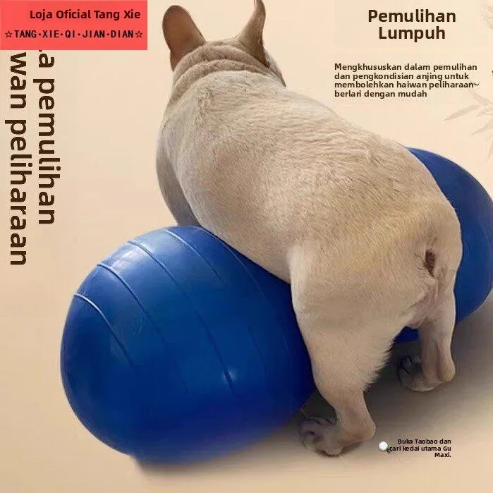 Bola de Yoga para Animais de Estimação, Espessada, para Treinamento de Paralisia Muscular Canina, Equipamento de Fitness e Eq...