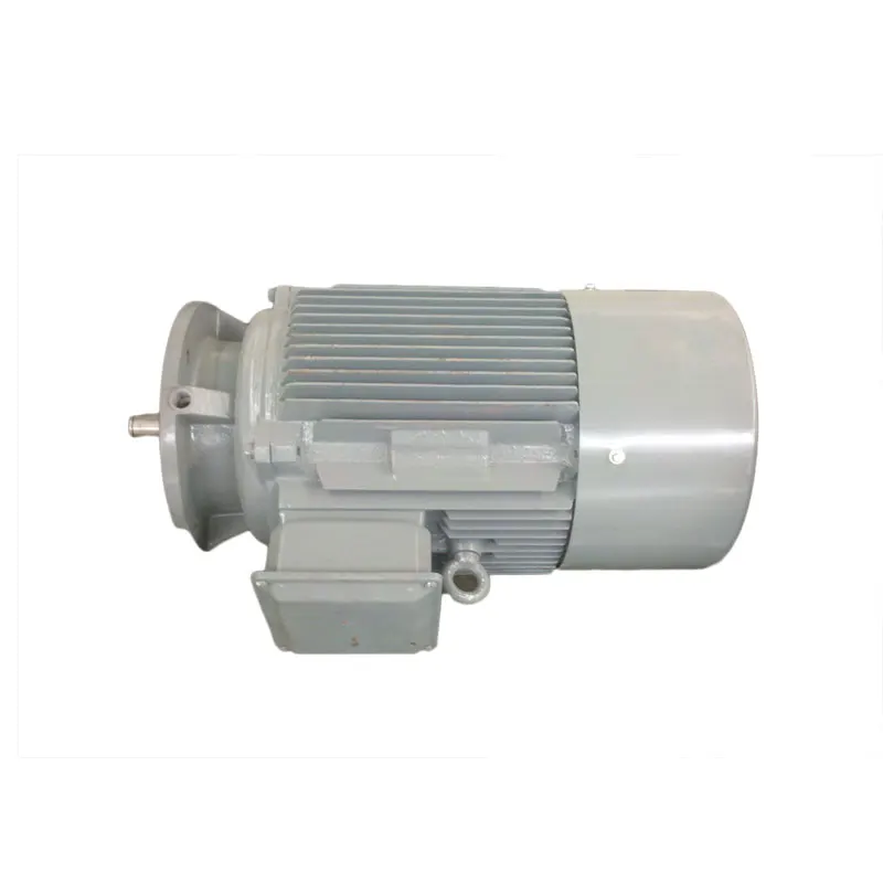 AC Electric Motor Electric Engine Ac Induction Motor 200kw for Hydro Turbo Generator