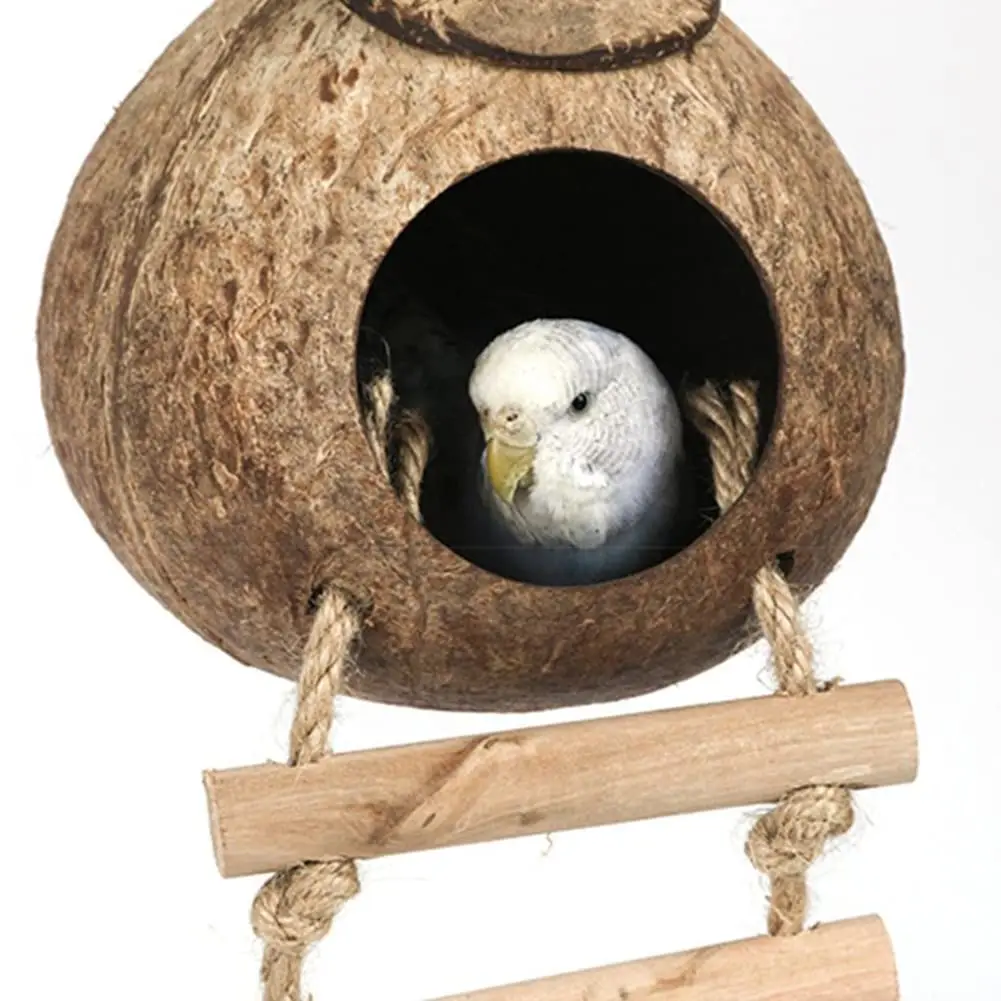 Coconut Bird Nest Hut with Ladder Hanging,Hanging Coconut Bird House Parrot Natural Coconut Shell Bird Nest Hideout House