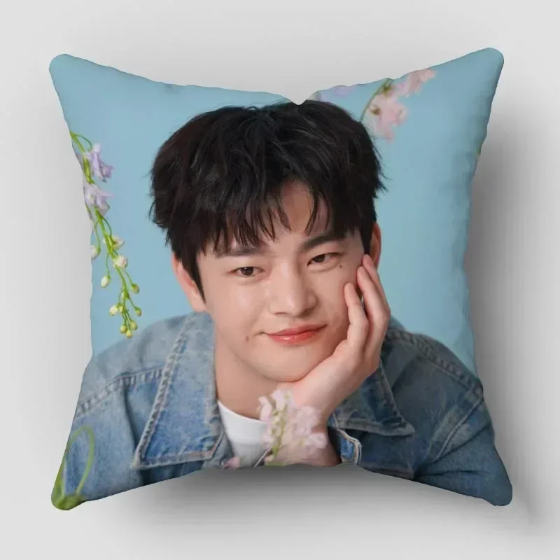 Seo In Guk Pillowcase Art Square Zippered Pillow Cover35x35cm 14x14Inch40x40cm 16x16Inch 45x45cm 18x18Inch