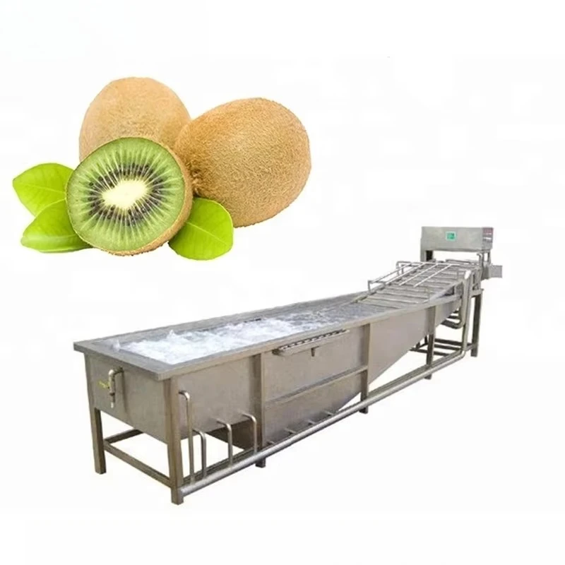 Industrial vegetable and fruit processing line washing and drying processing equipment