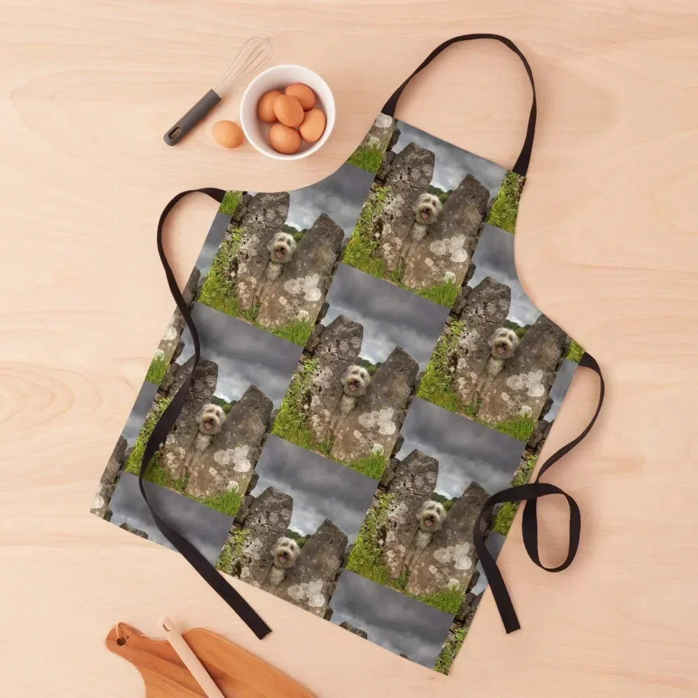 

Stuck, Bearded Collie In sheep Stile Apron Christmas gift Men'ss christmas kitchen cloths Apron