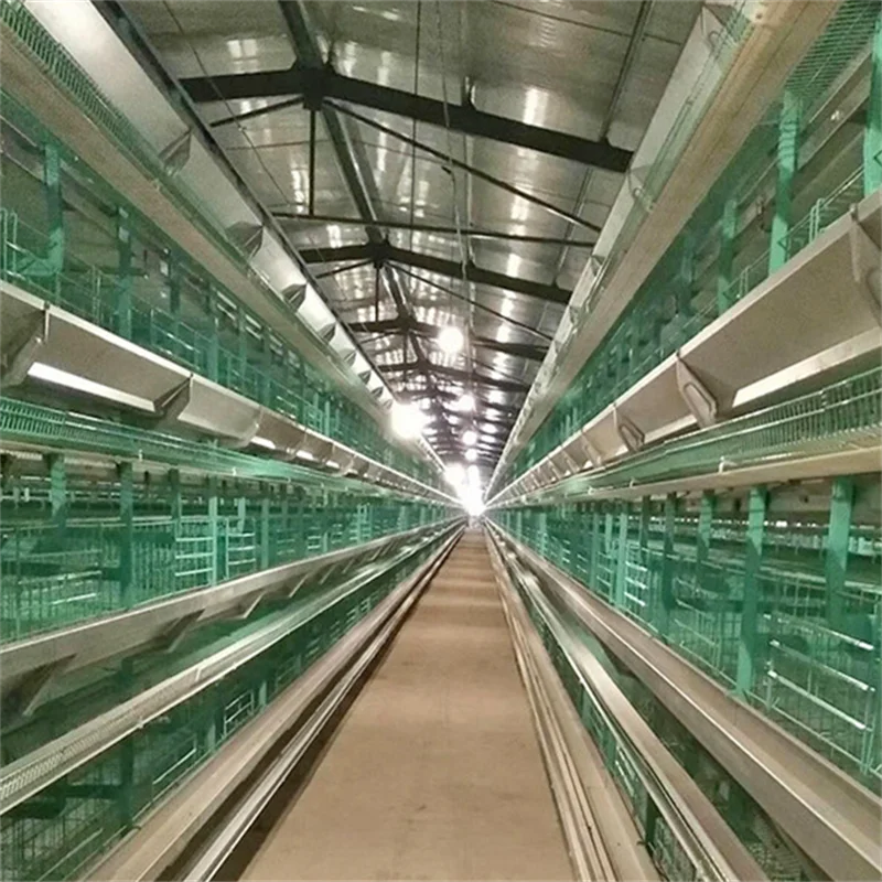 Cheap Price Chicken Farm Cage Poultry Farm Machinery Layer Cage