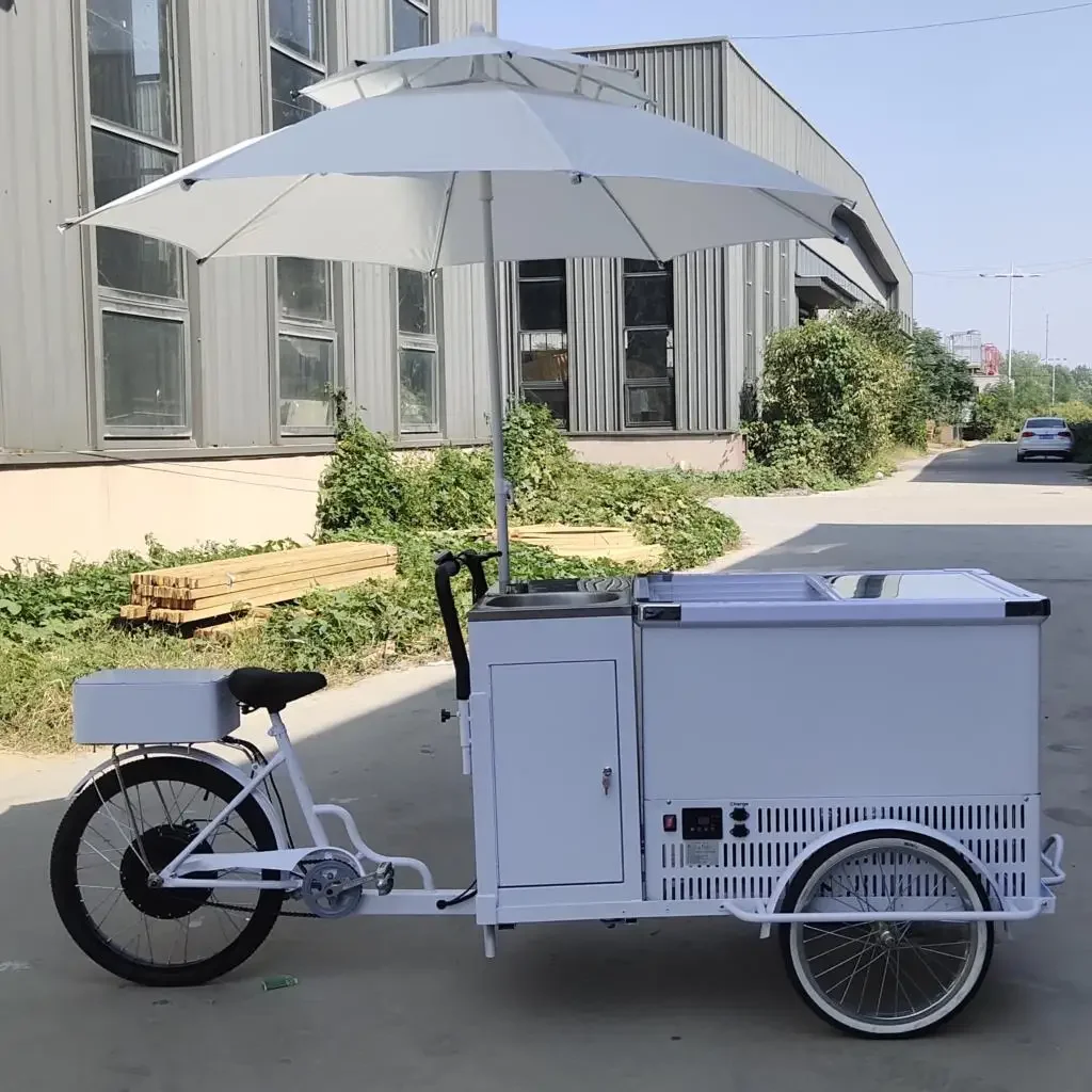 for 48V DC Battery Powered Freezer Electric Bicycle Food Sales Shop Ice Cream Coffee Hot Dog Mobile Booth Mobile Restaurant