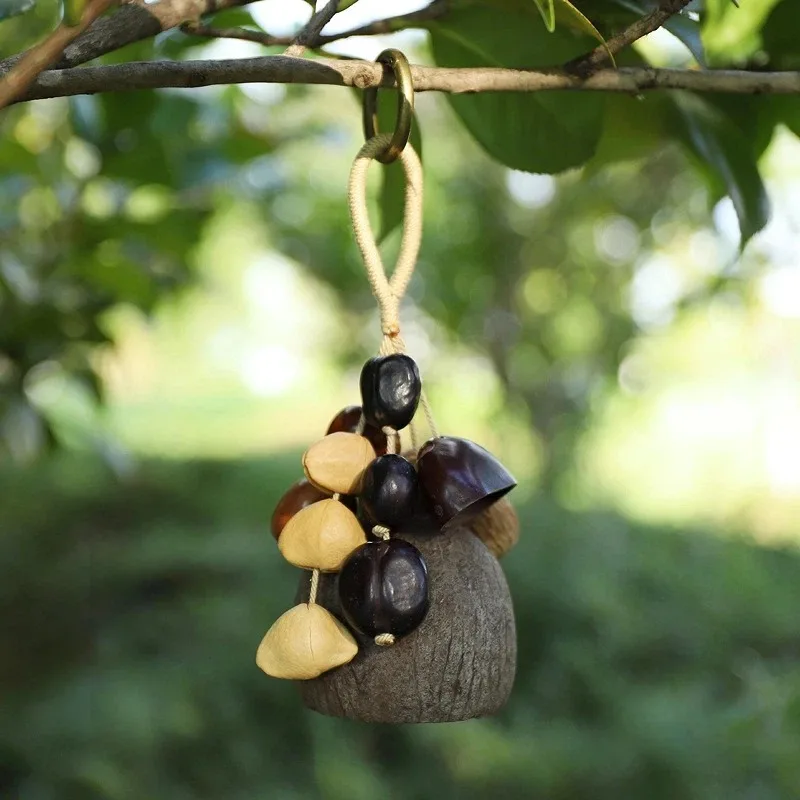 

Natural Handmade Fruit Shell Wind Chimes Seed Sound Healing Hand Shake Bell Full Wish Fruit Bag Hanging Decoration Craft
