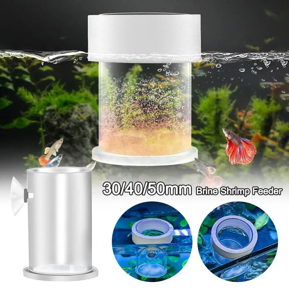 Acrylic Brine Shrimp Feeder Fixed-Point Transparent Fish Feeder with Suction Cup Durable Floating Ring Various Fish Tanks