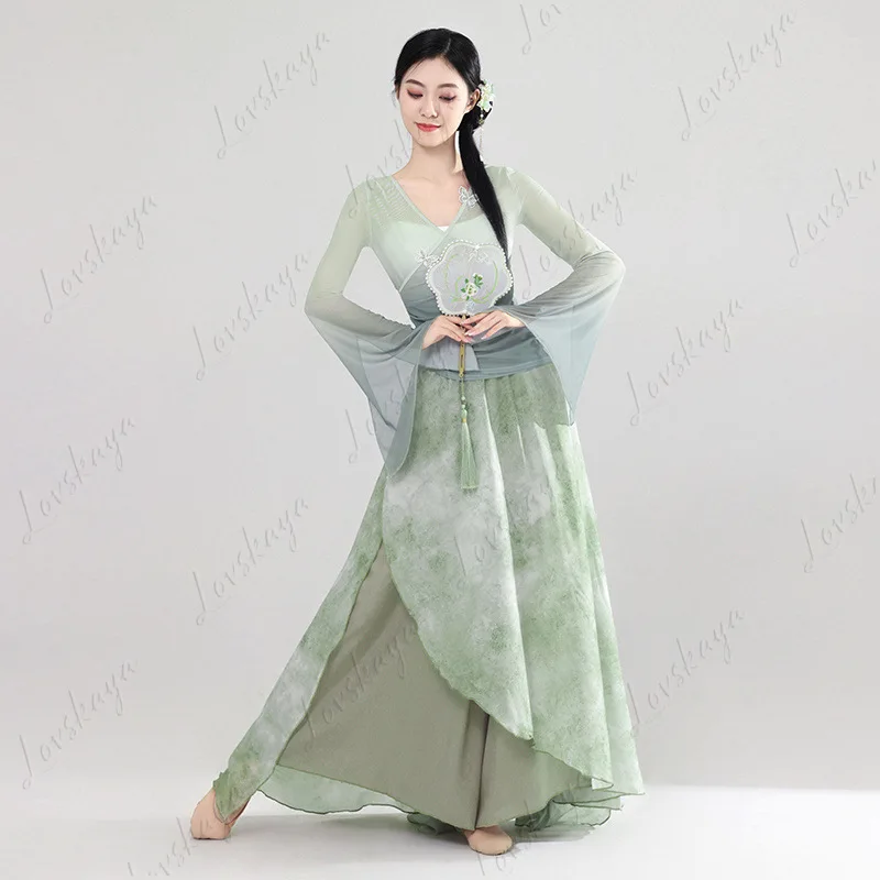 زي الرقص الكلاسيكي، فستان من الشاش المتدفق، زي الأداء، وضع الجسم الأثيري، رقص التدريب، البدلة الصينية