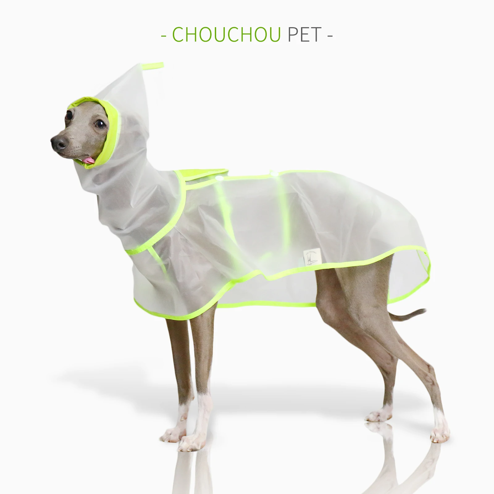 Italian Greyhound Whippet Raincoat Lightweight Iggy Colorful Waterproof, Rainproof, Windproof See-through Lightweight Raincoat