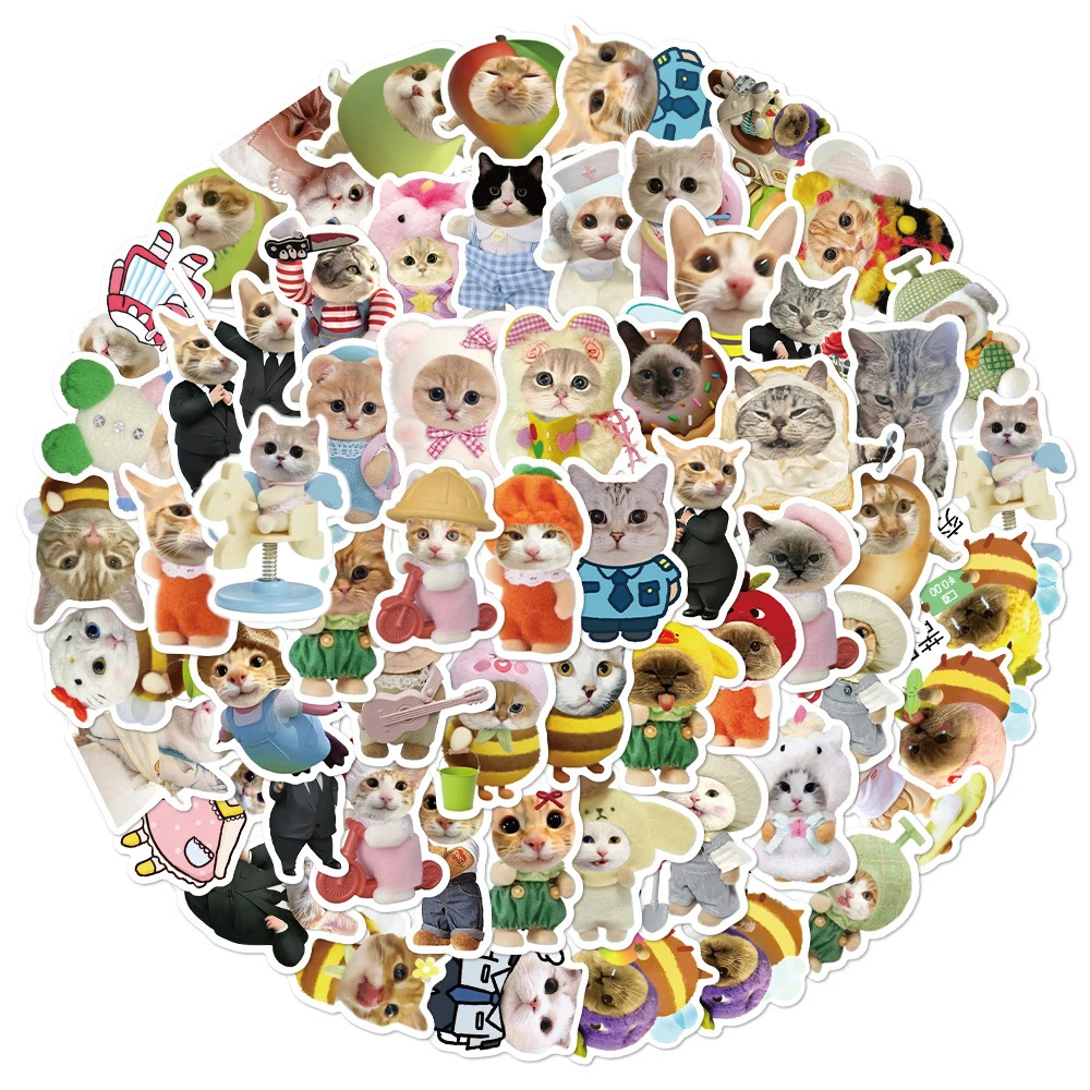 10/30/62pcs 만화 귀여운 고양이 낙서 스티커 재미 있은 동물 Meme 데칼 스케이트 보드 전화 수하물 기타 방수 DIY 스티커
