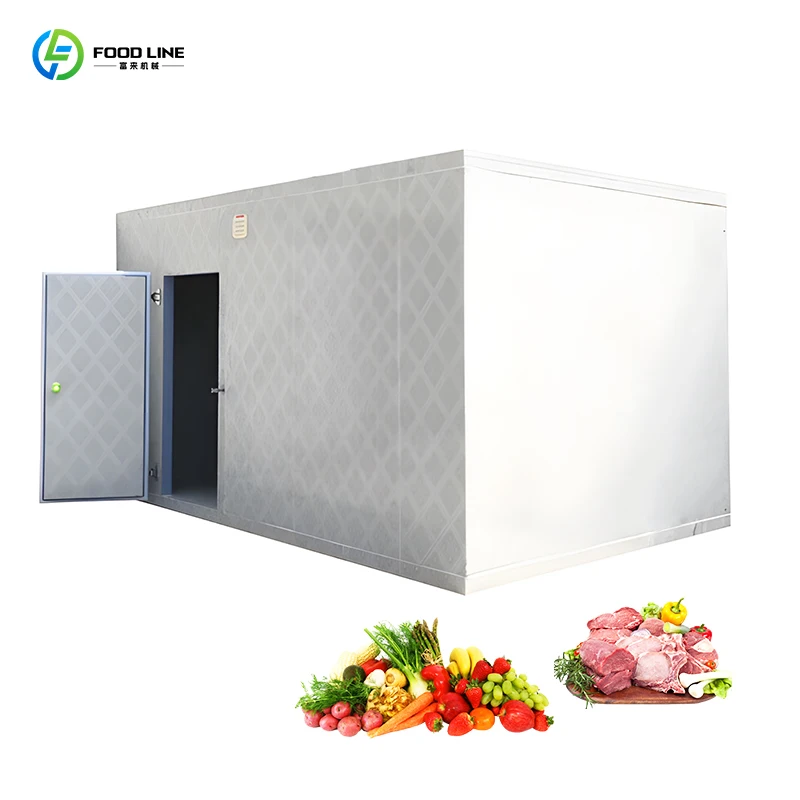 FOODLINE Customized Factory Price Commercial Cold Room Quick Freezer Container Freezer 20Ft Cold Room