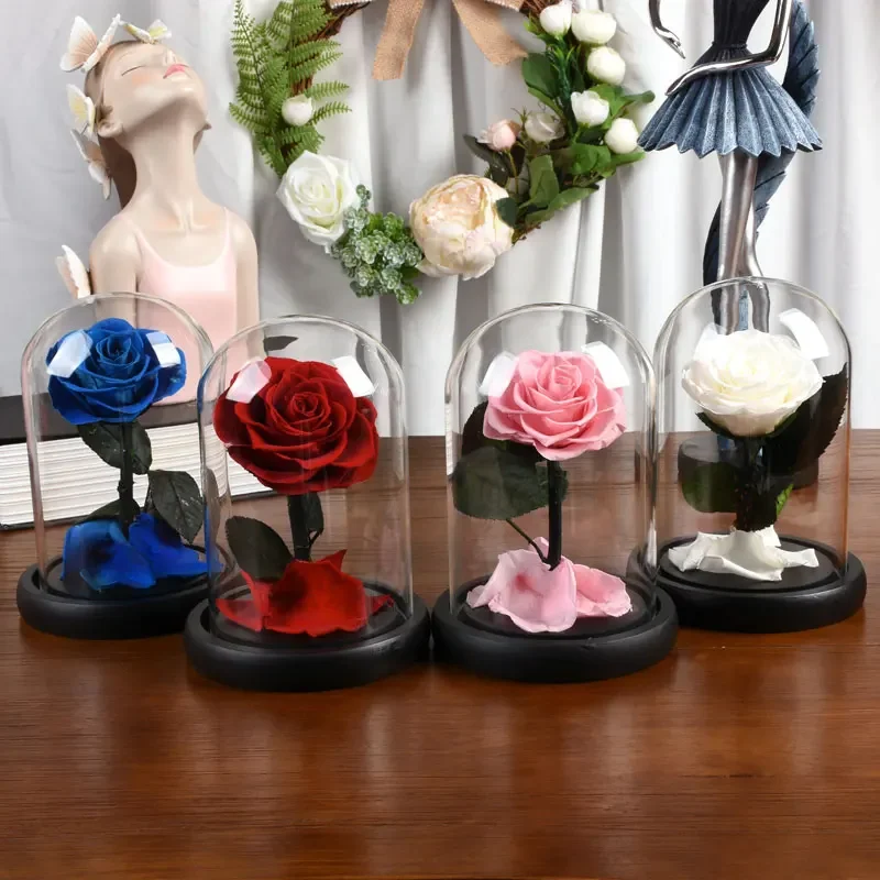 Preserved Roses in Glass Dome Valentines Day Gifts Roses Eternal Flowers for Women Christmas Day Birthday Anniversary Gift