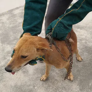 أفضل 8 للقفازات المضادة للعض - رقم 7