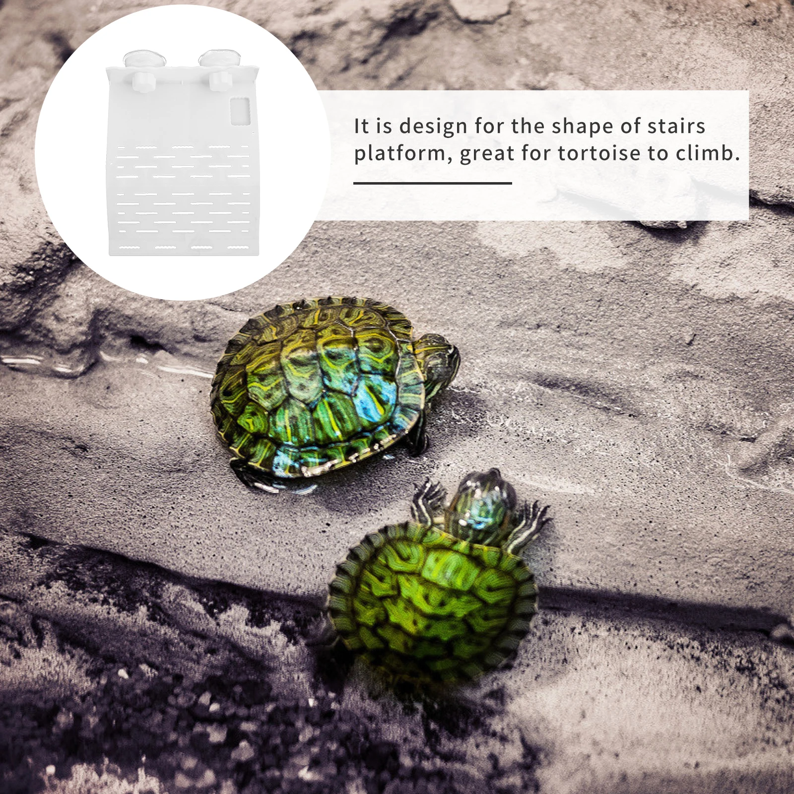 

Tortoise Floating Platform Resting White Suction Cup Aquarium Reptile Climbing Basking Durable Plastic Terrapin St Decor Item
