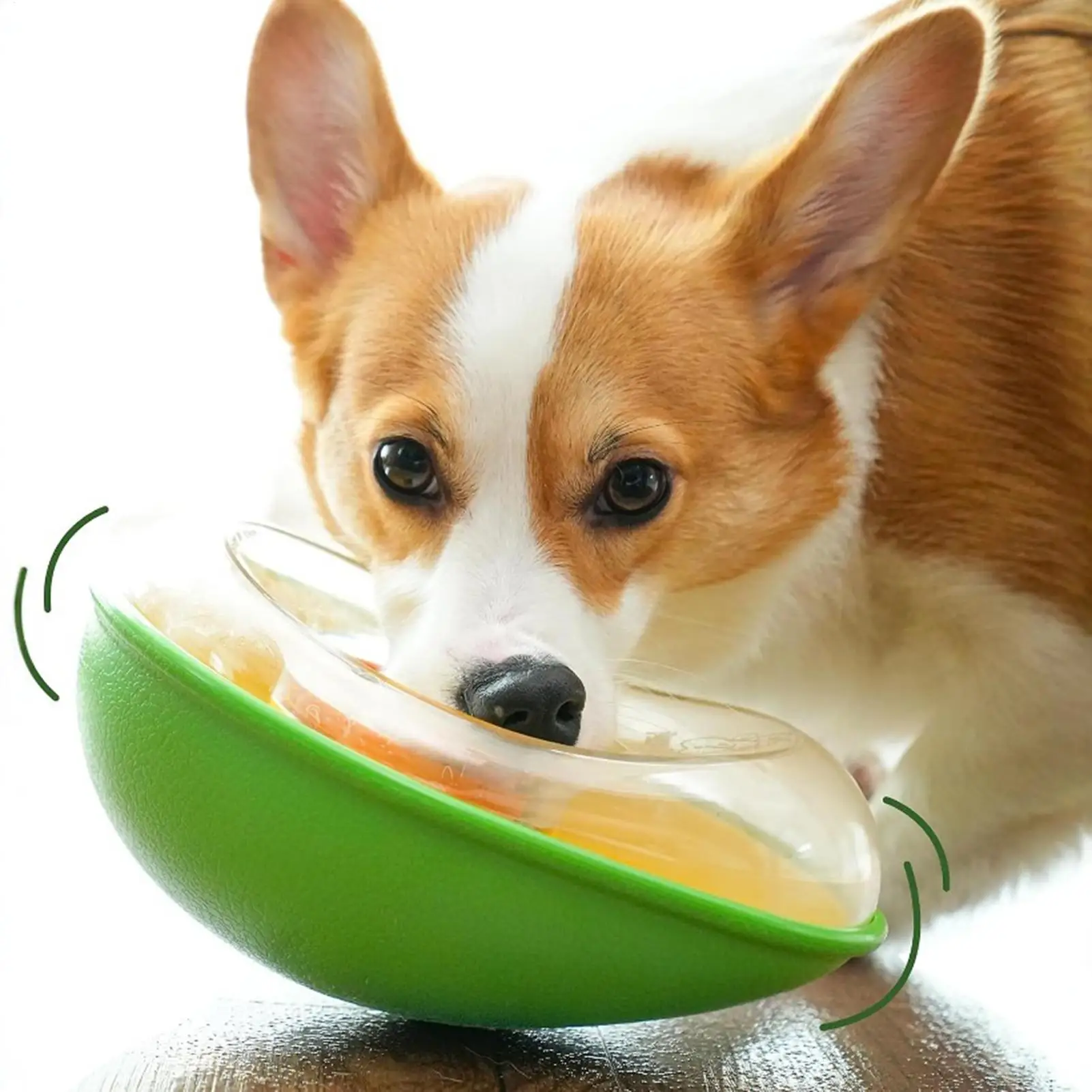 Thumbnail 4 - #18 Ranked Slow Puppy Feeder Bowls Picks in 2026