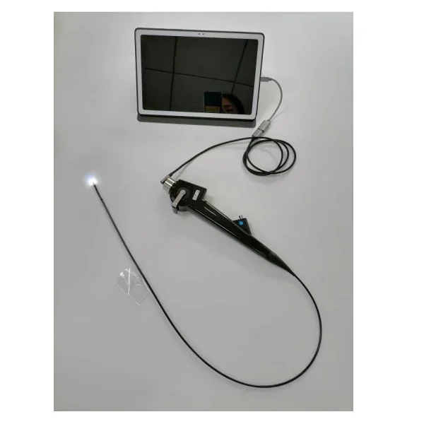 Portable Small Animal Video Endoscope Bronchoscope Gastroscope Colonoscope Ureteroscopy for Veterinary PET Endoscopy