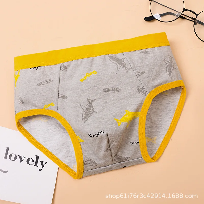 4PCS/Lot Boys Cotton Underwear 1-11Years Children Triangular Pants Teenagers Double Layer Antibacterial Underwear