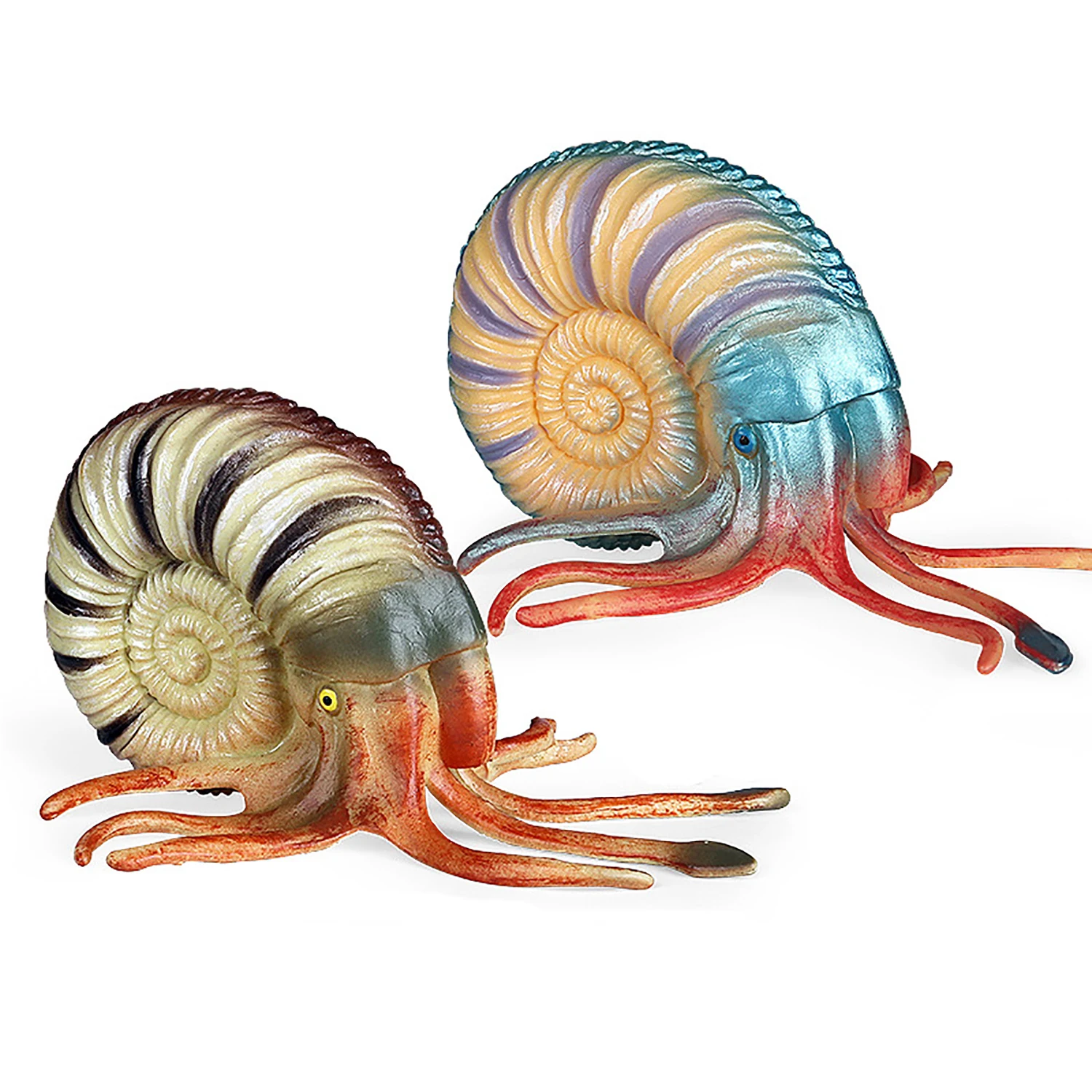 Marine animal model simulation toy Nautilus ornament children's toy figurine model early education