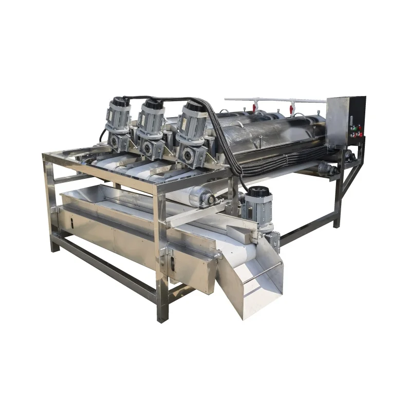 Food Safe Ozone Veggie Fruit Washer for Supermarket Vegetable Pre-cleaning Before Packaging