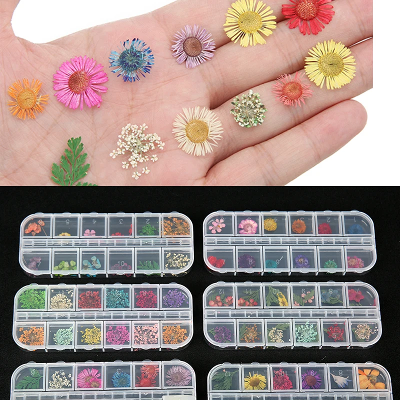 1 صندوق زهرة مجففة حقيقية لمسمار الراتنج لوازم حشوات ورقة سكرابوكينغ الديكور الحرف اليدوية النتائج Diy بها بنفسك صنع المجوهرات #1