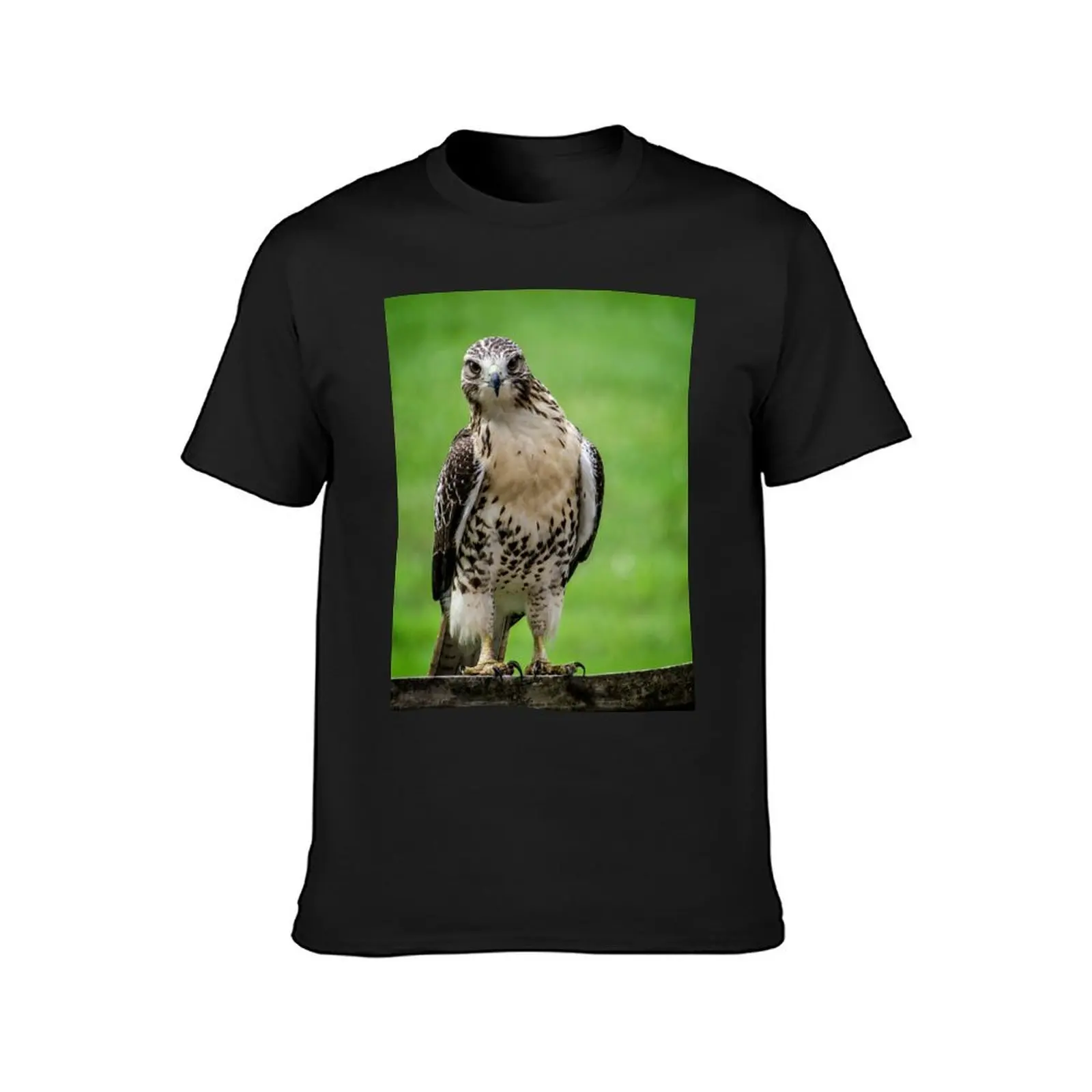 Beautiful Red Tail Hawk On A Railing T-Shirt tshirts personalised aesthetic clothes korean fashion clothing for men