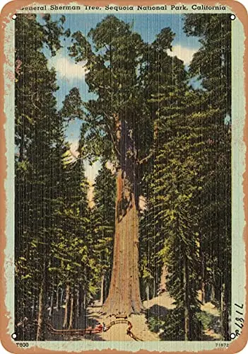 Metallschild - Kalifornien-Postkarte - General Sherman Tree, Sequoia Nationalpark, Kalifornien - Vintage-Rostoptik