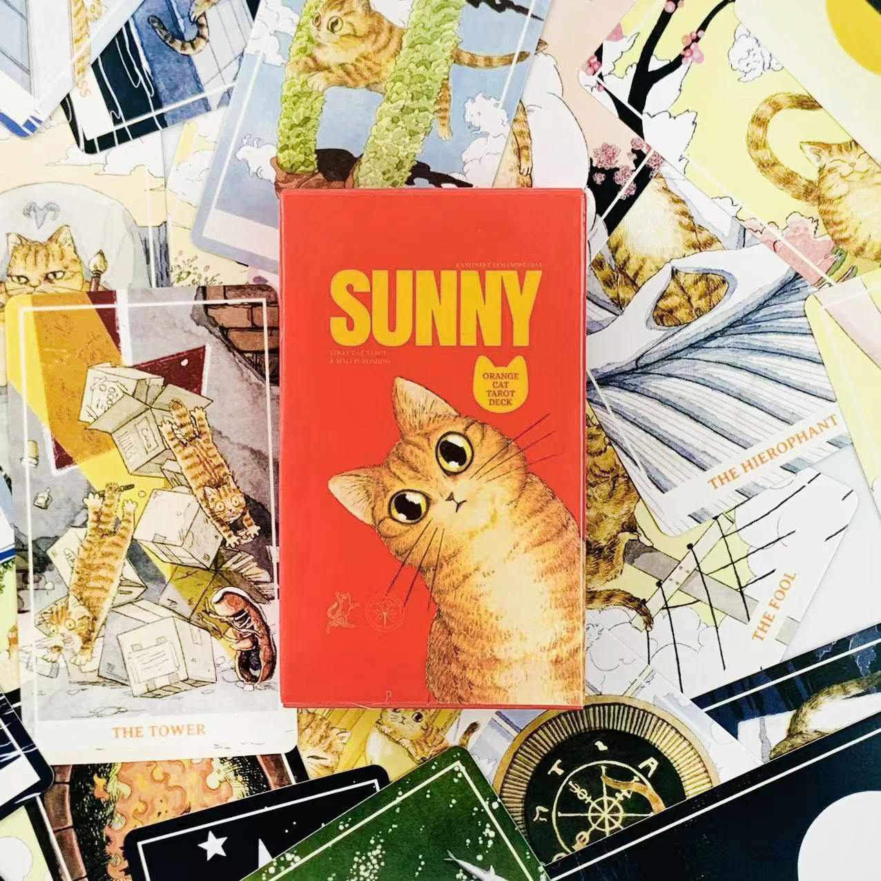 Sunny Orange Cat Tarot Deck A - Party Games Sunny 评论和价格