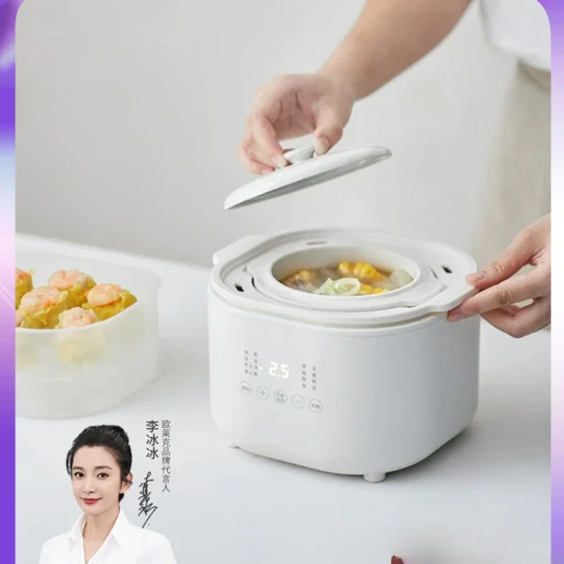 Electric stew pot bird's nest stew cup small soup pot porridge artifact household water-proof electric stew pot