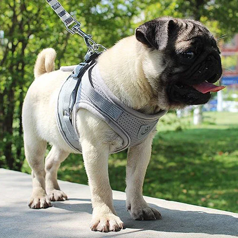 Vest Harness Leash Adjustable Mesh Vest Dog Harness Collar Chest Strap Leash Harnesses with Traction Rope XS/S/M/L/XL