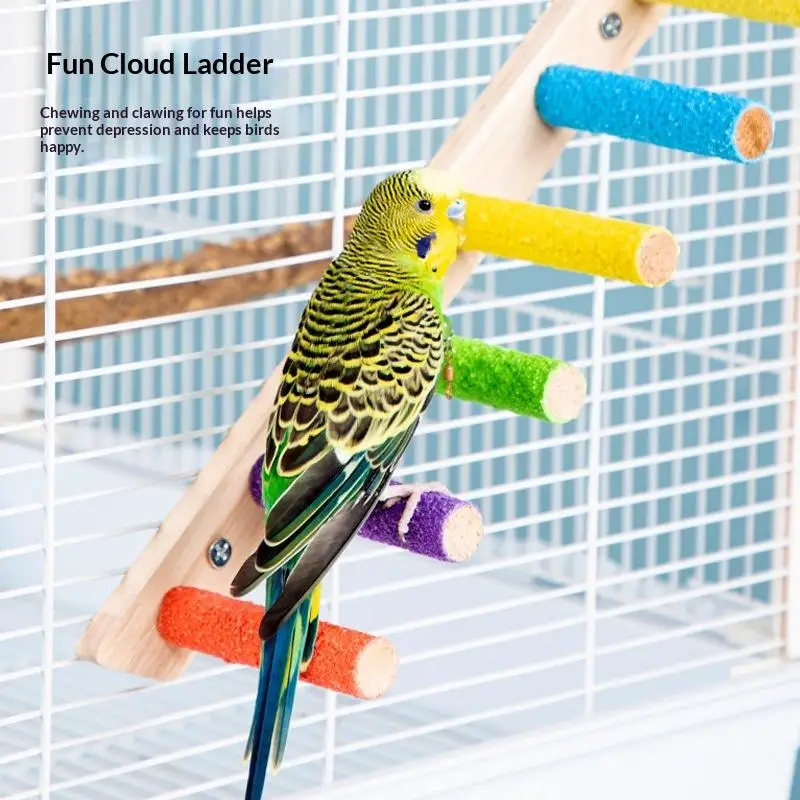 #34 Best Bird Ladders & Perches to Buy In 2026