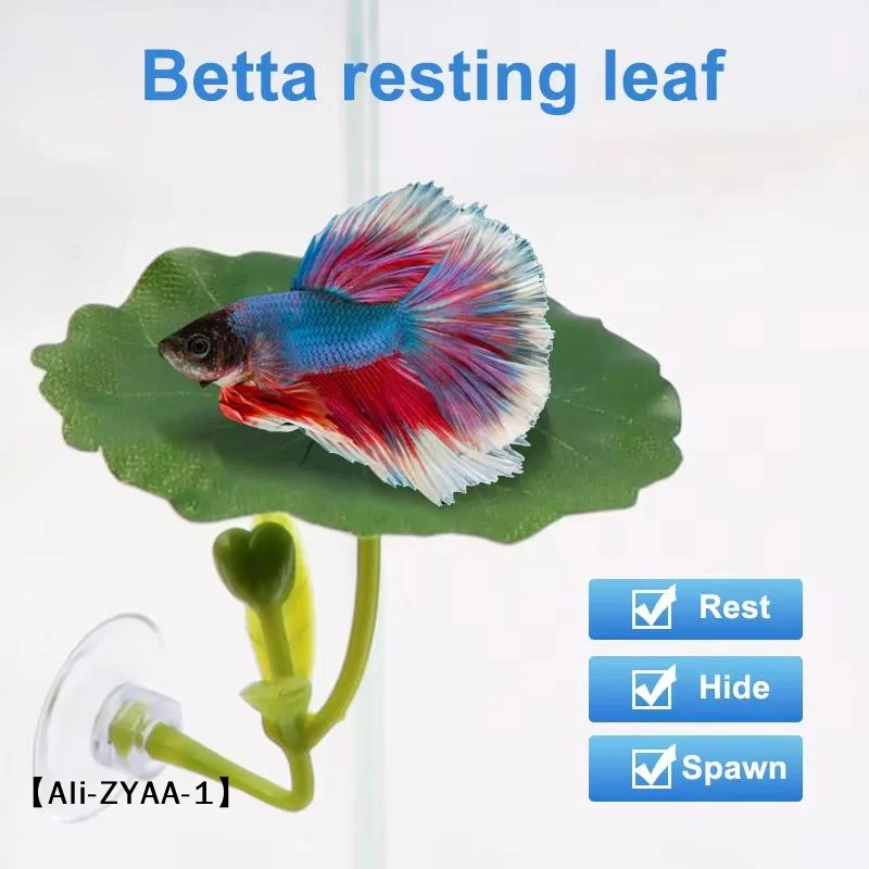 【A】Green Leaf Hammock for Bett - Planted Aquarium Betta ulasan dan harga