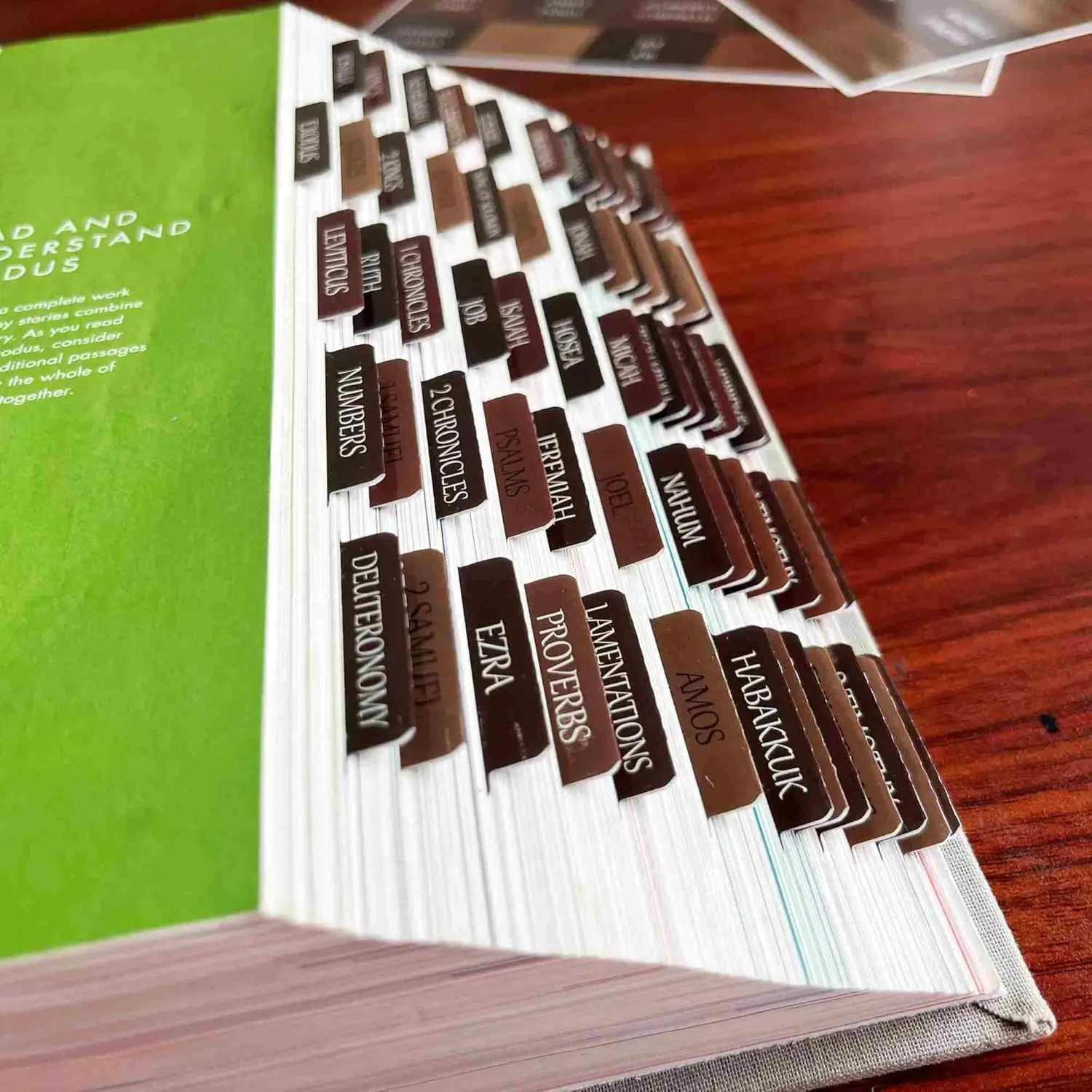 

Reposition Laminated Bible Tabs, Large Print Stickers, Easy to Read & Apply Bible Tabs for Women & Man (Earthy Brown)