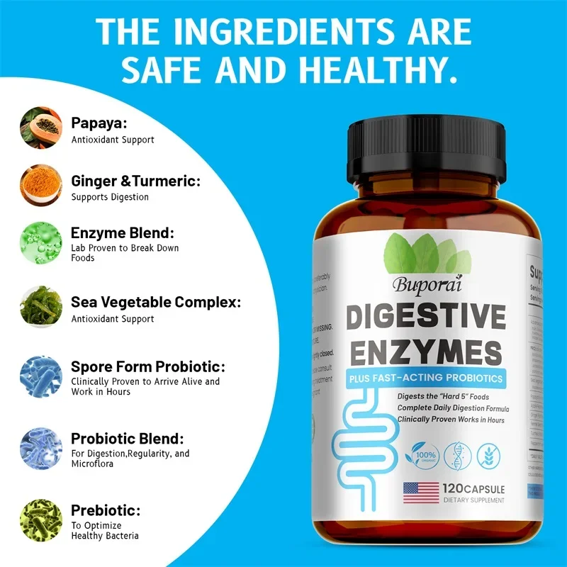 Supplément d'enzymes digestives – Digestion et santé intestinale pour adultes, hommes et femmes, favorise l'absorption des nutriments