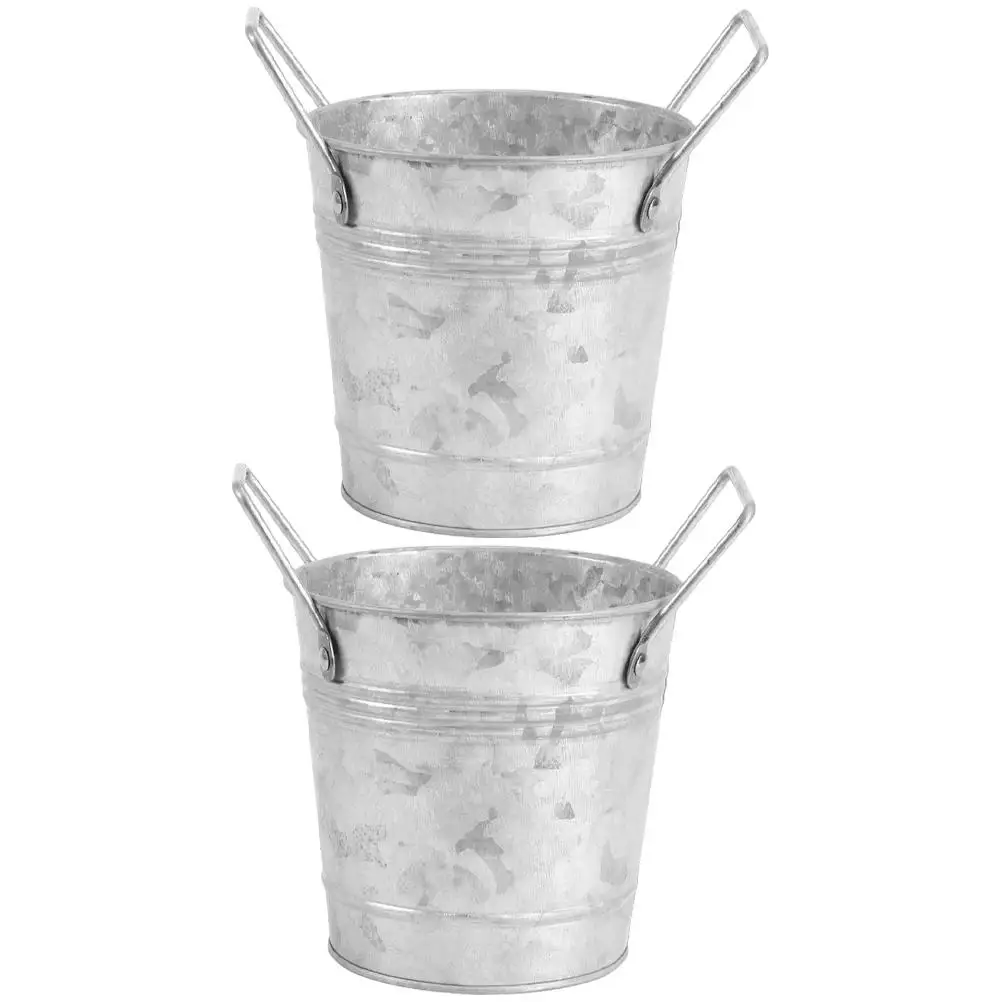

2 Pcs Flower Bucket Vintage Tin Planter Pots Iron Garden Containers for Plants Home Decorative Flower Vases Office