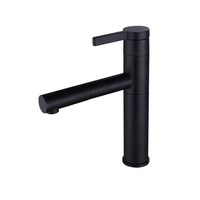 Black Pull Out Wash Basin Hot and Cold Mixed Faucet Square Basin Table Basin Single Copper Bathroom Cabinet Faucet