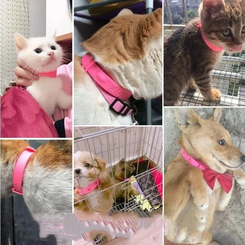 1Pc Adjustable Dog Flea Collar Cat Flea Collar Insect Repellent Flea And Lice Bell Collar For Kittens Pet Supplies Deworming