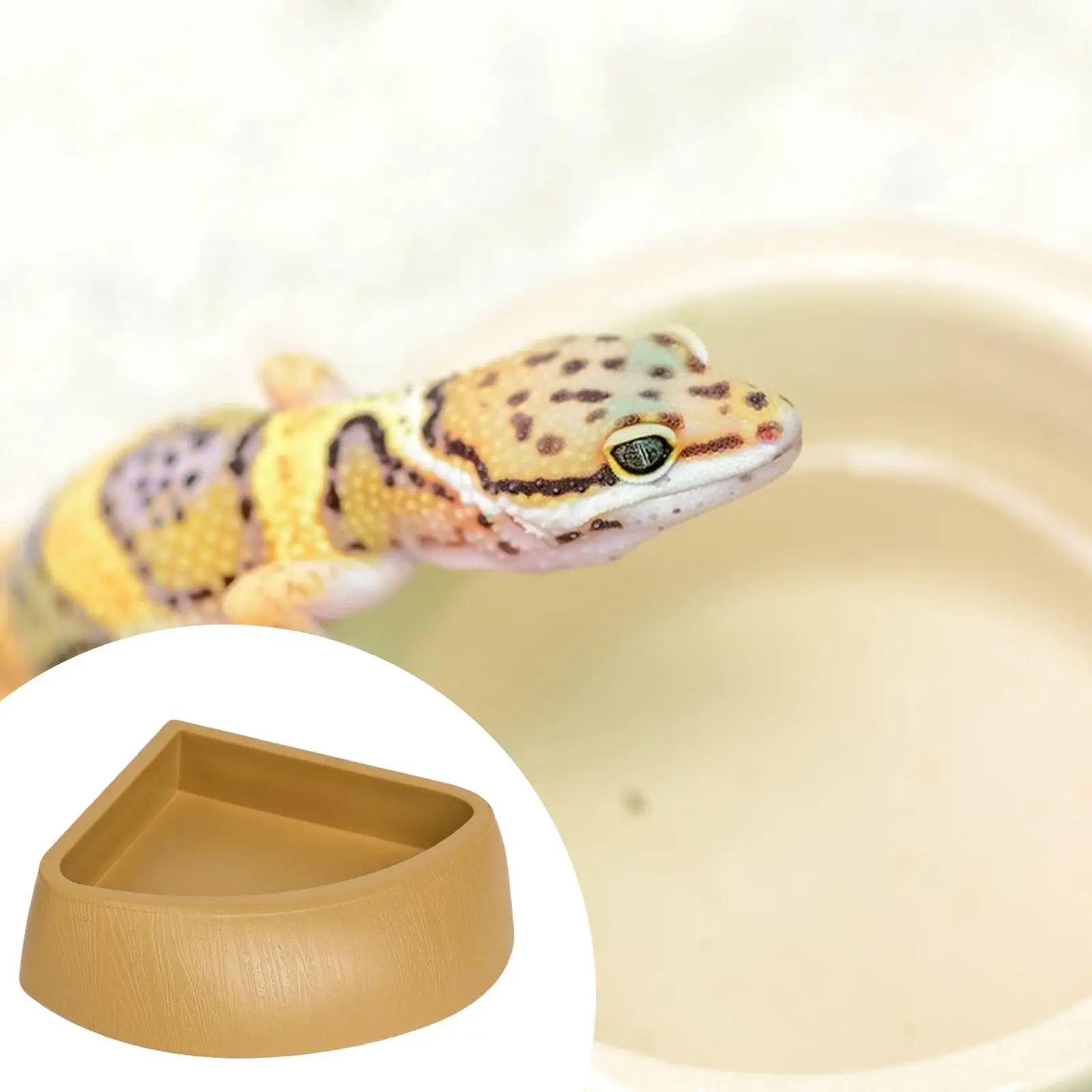 Reptile Feeder Bowl 90 Degree Corner Compact Food Water Dish Antislip Plate for Turtle Fish Tank