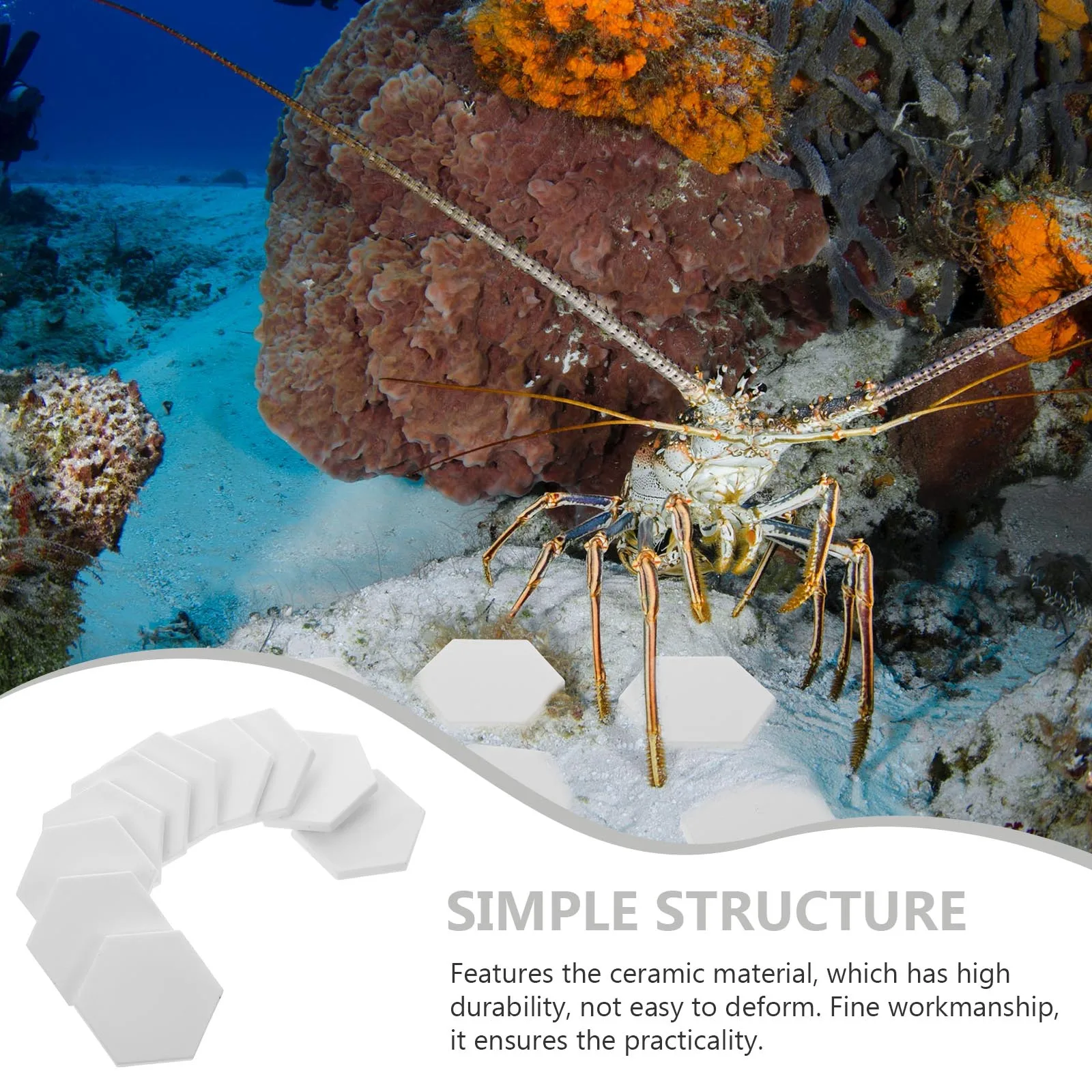 

10Pcs Coral Bases Premium Ceramic Aquarium Coral Frag Stand for Hard Branching Corals Fish Tank Breeding Supplies