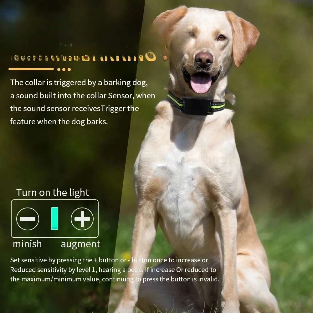 Thumbnail 4 - #43 Dog Training Collars Discount Picks